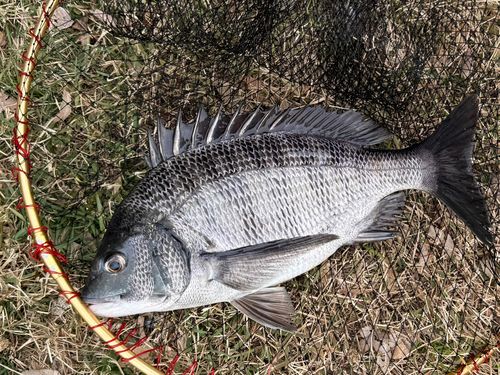 隅田川小名木川合流