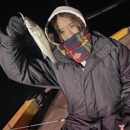 セイゴ（ヒラスズキ）