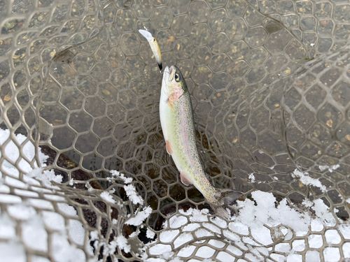 五頭フィッシングパーク