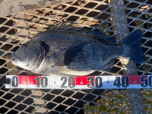 大黒海づり施設