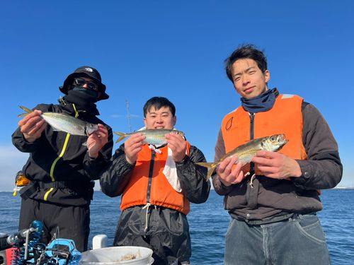 マアジの釣果