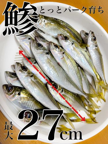 とっとパーク小島