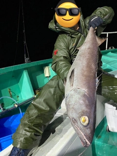 バラムツの釣果