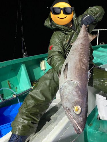 バラムツの釣果