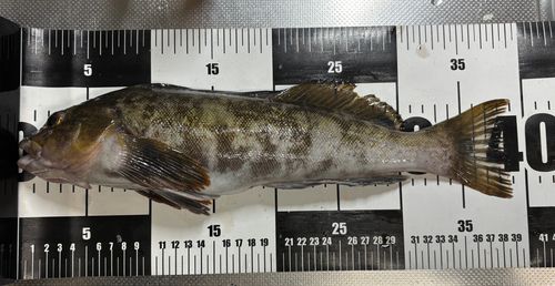 仙台港中央公園