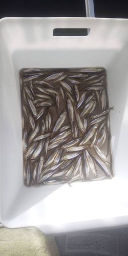 野尻湖（長野）