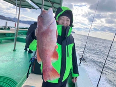 コブダイの釣果
