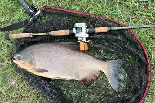 浜名湖フィッシングリゾート