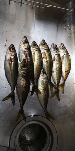 小名浜港アクアマリンふくしま周辺