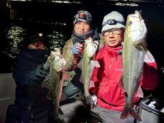 シーバスの釣果