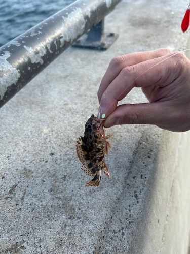 金沢水際線緑地（福浦岸壁）