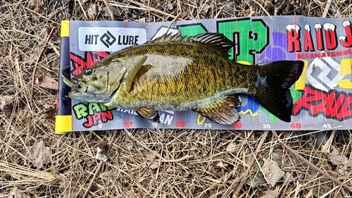 海老名運動公園