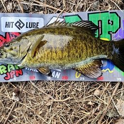 スモールマウスバス