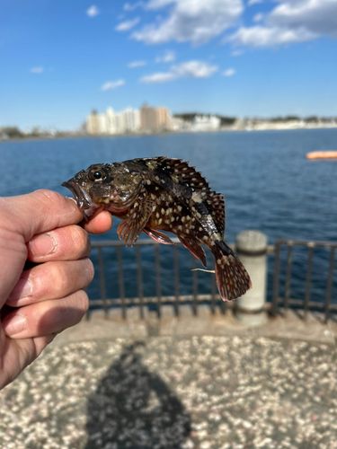 オリンピック記念公園