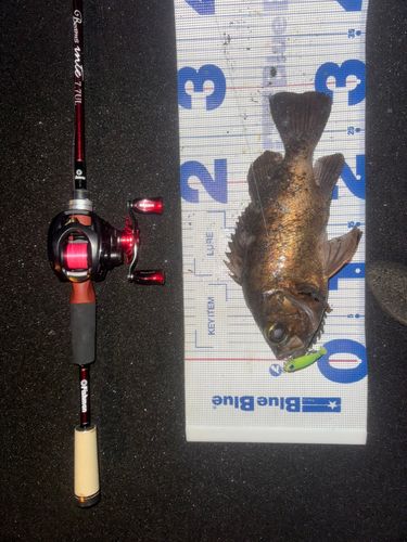 東京湾（アクアライン〜富津）