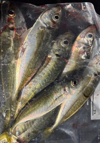 小名浜港アクアマリンふくしま周辺