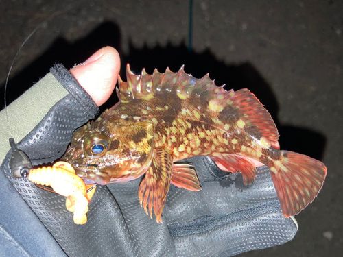 東京湾（アクアライン〜富津）