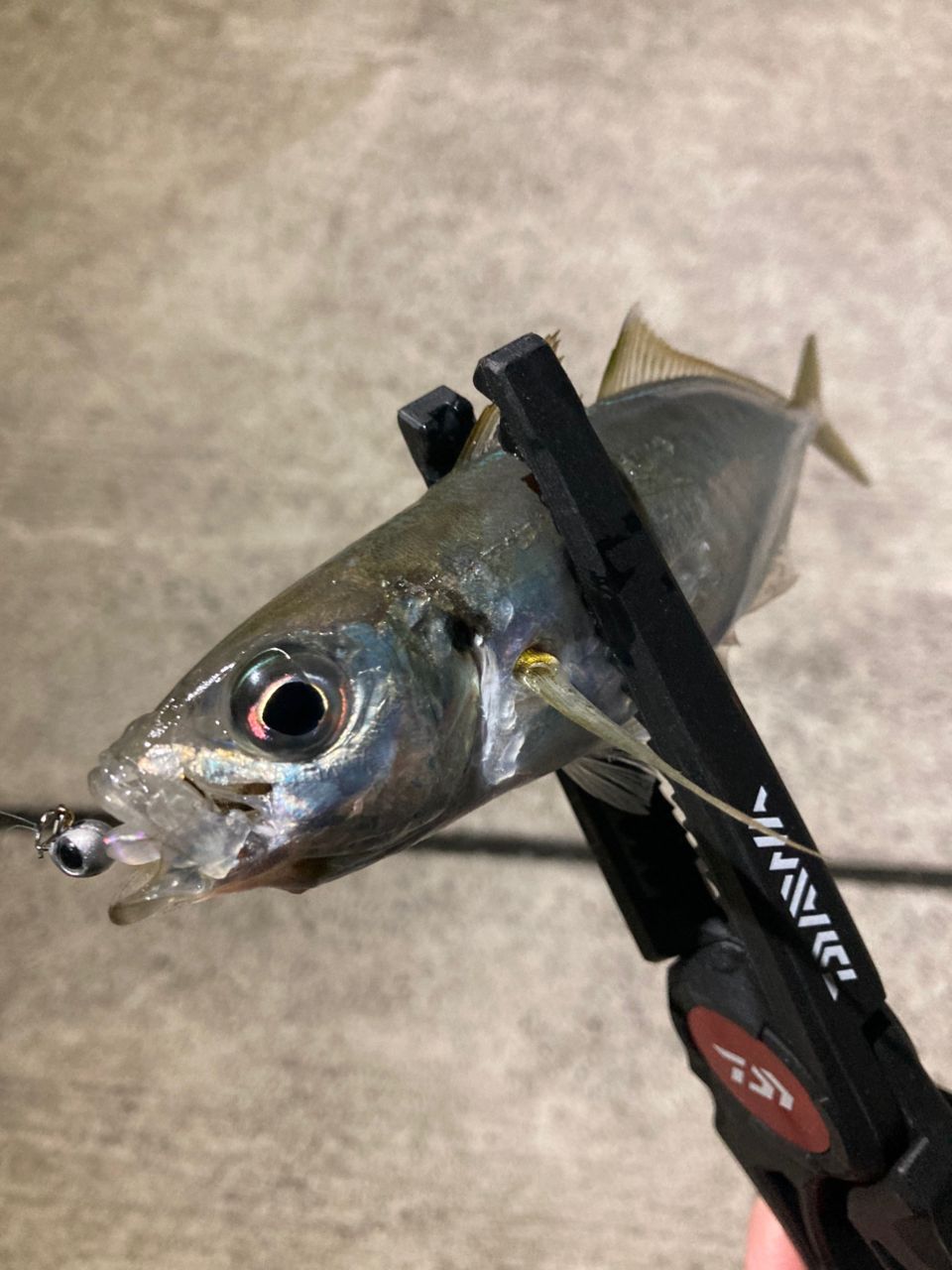 DAIWA 21月下美人 MX 68L-S・Nの最安値・インプレ・釣果 | 本音の