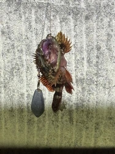 金沢水際線緑地（福浦岸壁）