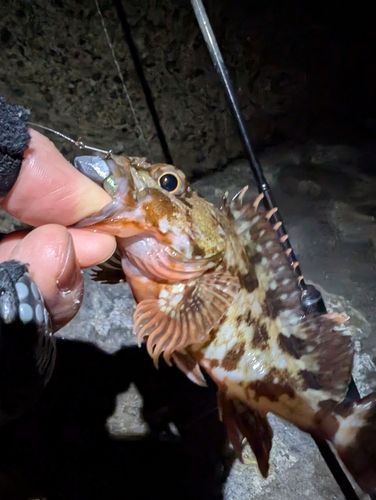 東京湾（富津〜金谷）