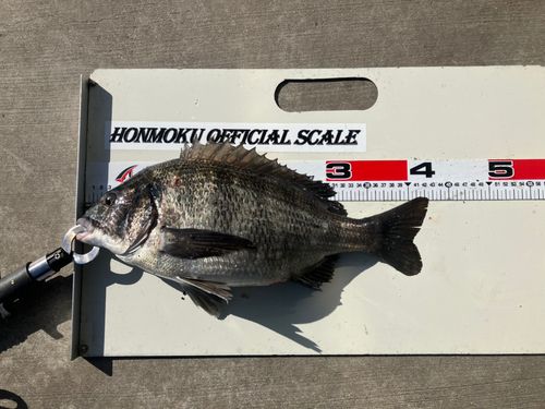 本牧海づり施設