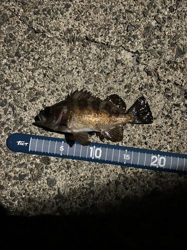 警固屋中学校前