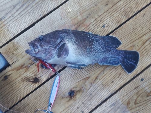 三陸海岸（岩手）