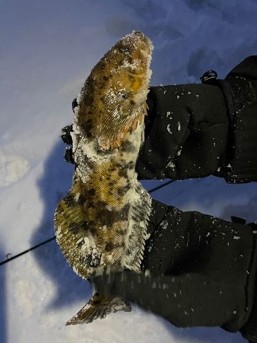 三陸海岸（青森）