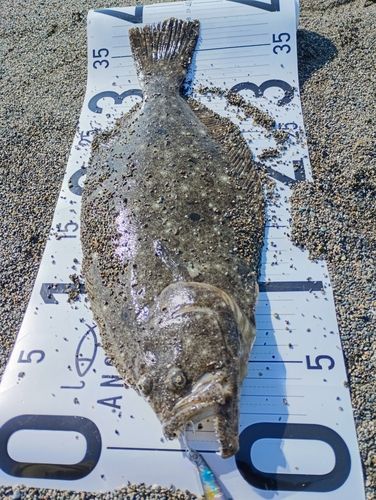 辻堂海浜公園前