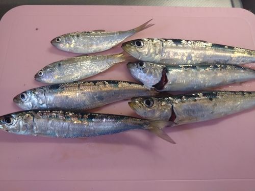 小名浜港アクアマリンふくしま周辺