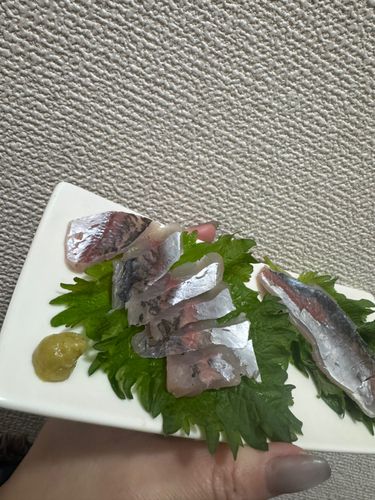 本牧海づり施設