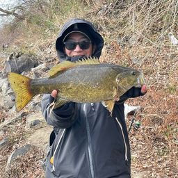 スモールマウスバス