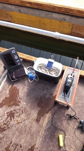 ワカサギの釣果