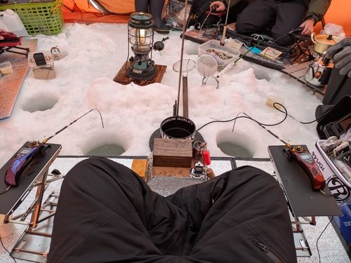 ワカサギの釣果