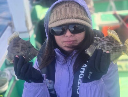 カワハギの釣果