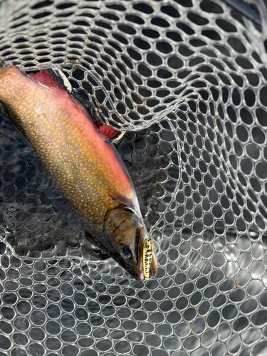 那須白河フォレストスプリングス