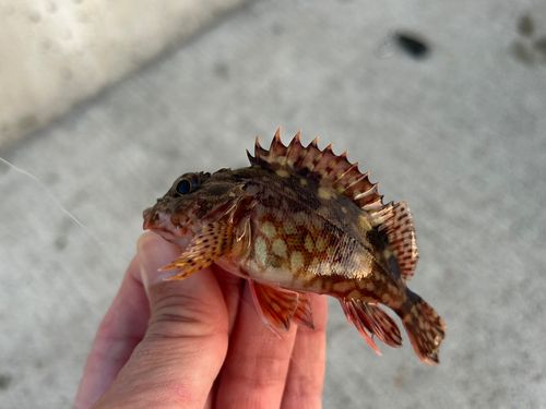 金沢水際線緑地（福浦岸壁）