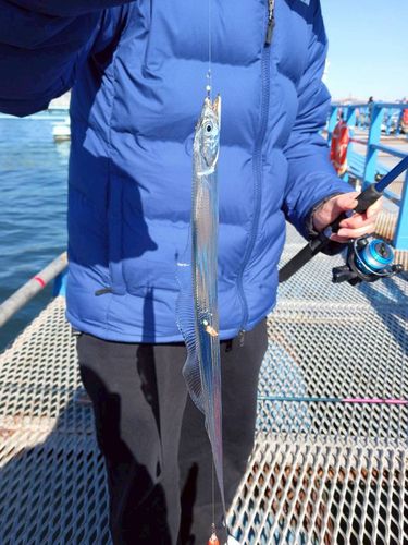 本牧海づり施設