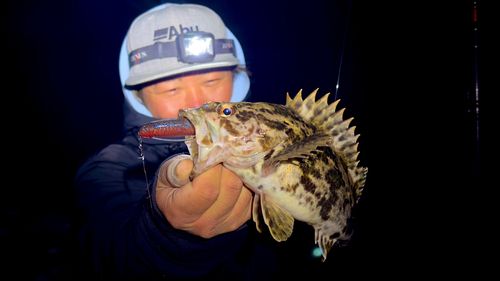 ベッコウゾイの釣果
