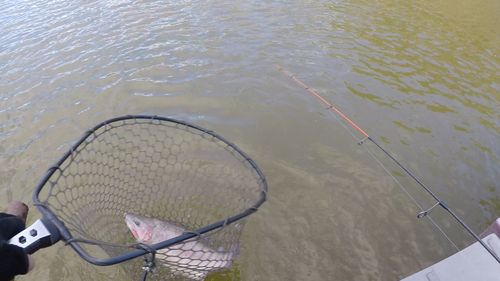 知多半島野池群