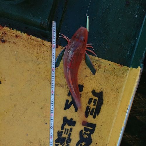 東京湾（アクアライン〜富津）