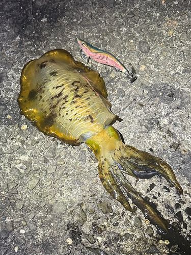 野見潮ばかり公園