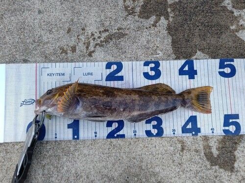 三陸海岸（宮城）