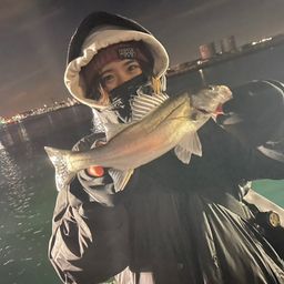 セイゴ（ヒラスズキ）