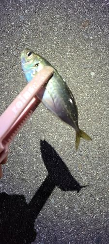 小名浜港アクアマリンふくしま周辺