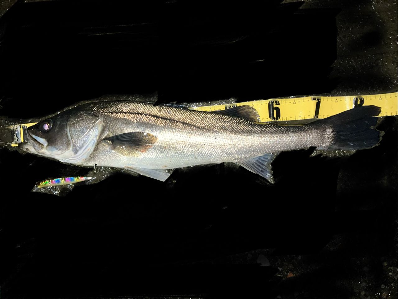 APIA 21フージン'RS 95MHの最安値・インプレ・釣果 | 本音の口コミ