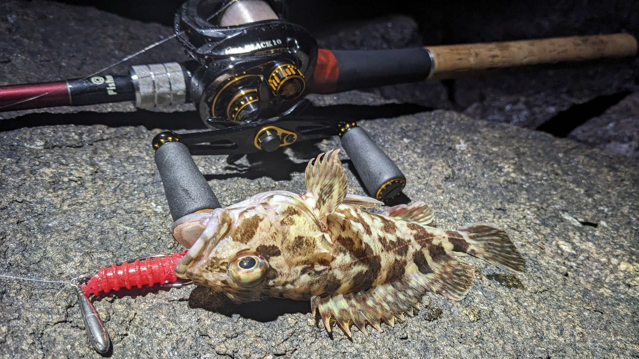 Fishman ビームス CRAWLA 8.3L＋の最安値・インプレ・釣果 | 本音の