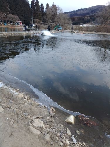 ニジマスの釣果