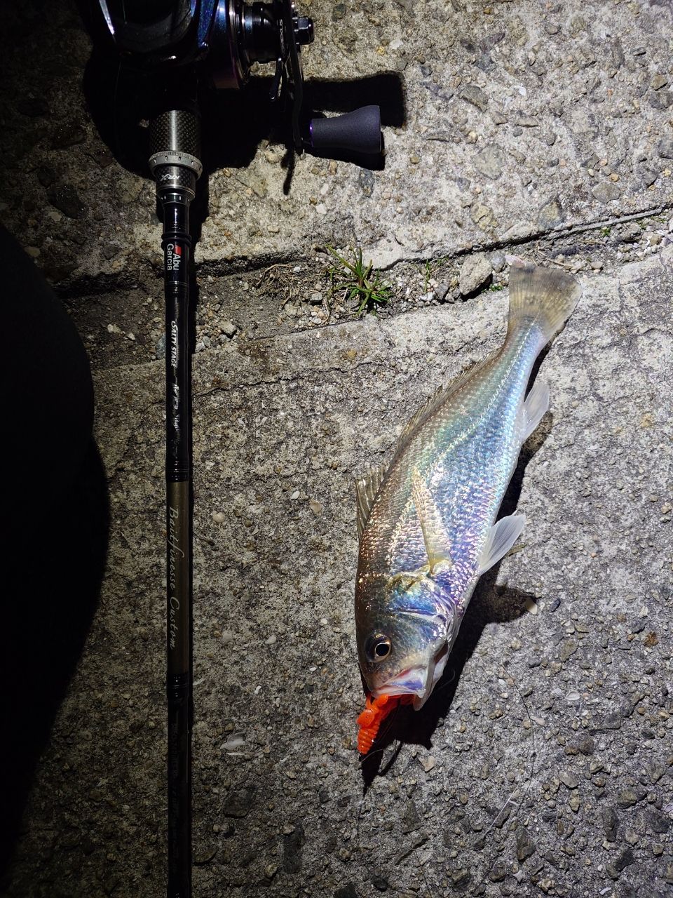 AbuGarcia ソルティーステージ・KR-X・ベイトフィネスカスタム SBFC