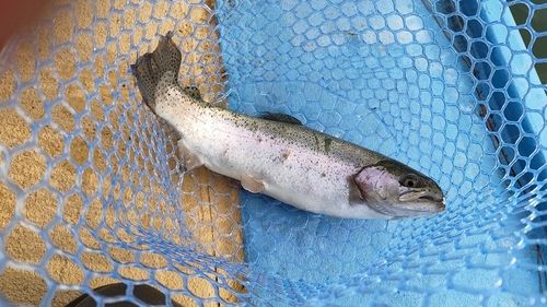 しらこばと水上公園